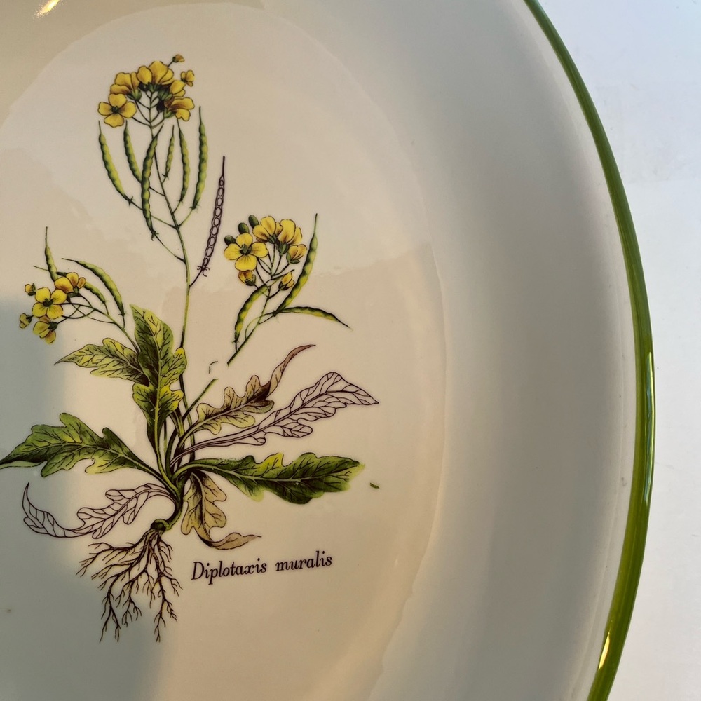 Vintage Italian Large Ceramic Bowl/Platter Featuring a Botanical Illustration - Picture 4 of 9
